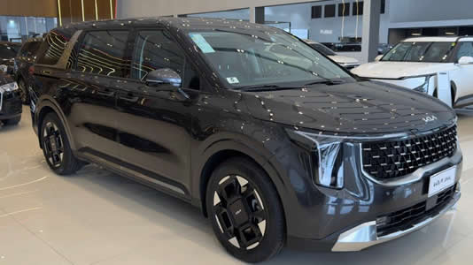 Chauffeured-Service-in-Brazil-2